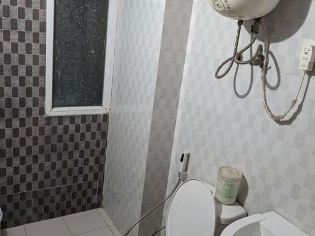 Amrapali Silicon City 3 Bedroom 1545 Sq. Ft. Apartment in Sector 76 Noida Listing ID: #9954