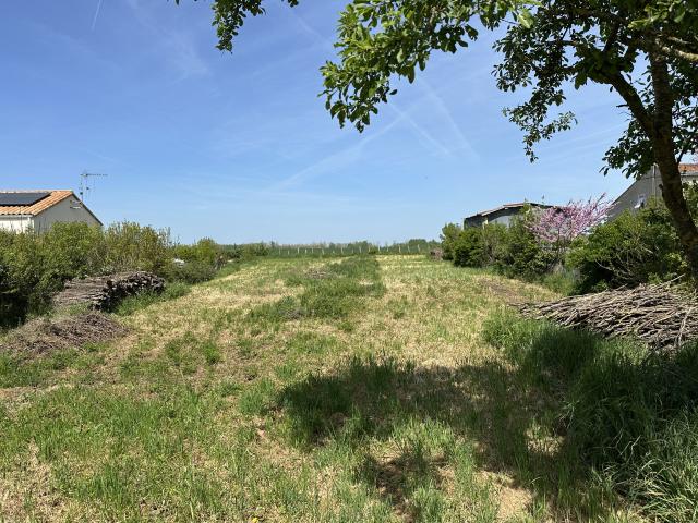 AMURÉ TERRAIN CONSTRUCTIBLE NON VIABILISÉ