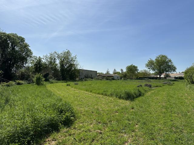 AMURÉ TERRAIN CONSTRUCTIBLE NON VIABILISÉ