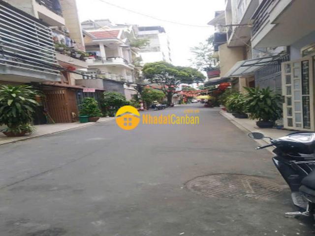 Án chdv hxh 2 mặt hẻm, phạm văn bạch, p. Tân sơn, tp hcm, 95m2, 6 tầng, thang máy