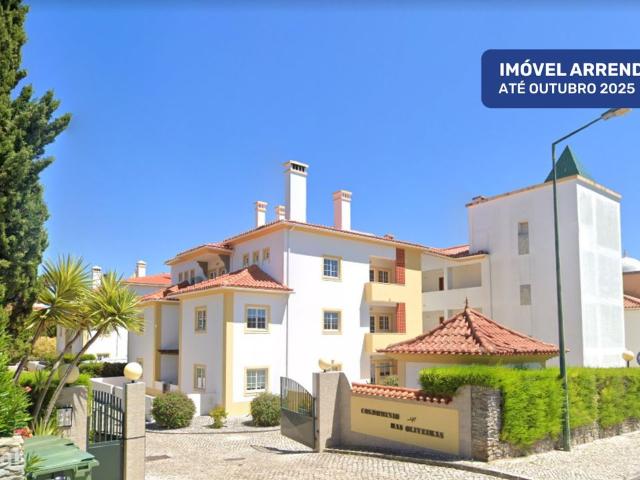 Anncio Century 21 Portugal