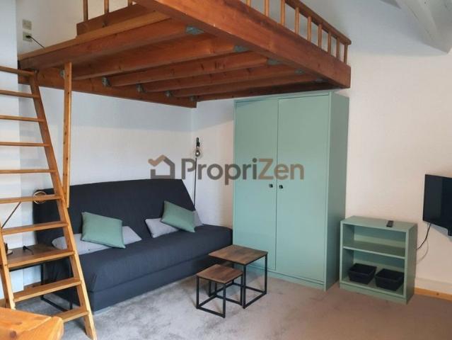 Annecy Centre: Loft T1 35m² avec mezzanine, centre ville