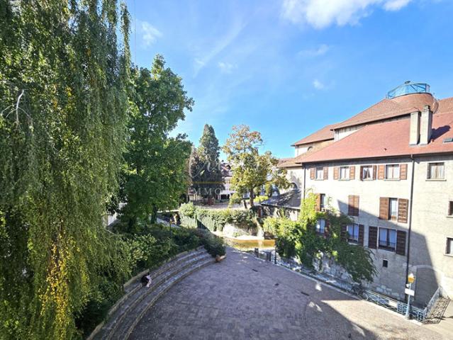 Annecy hyper centre, appartement 48m2, au calme