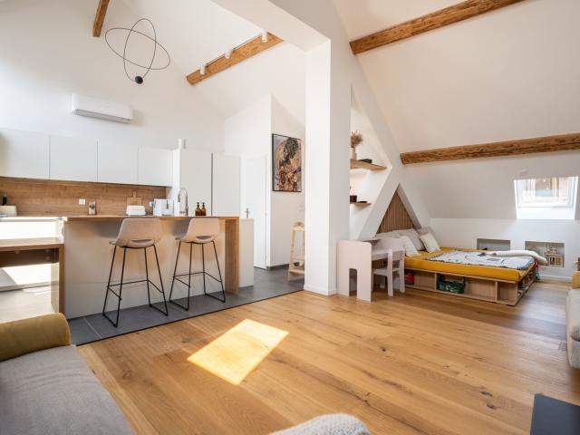 ANNECY NORD Pringy / Promery maison de village de 210 M2 habitables