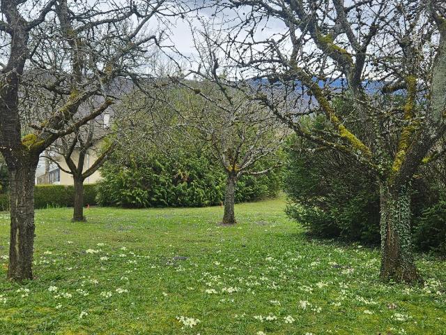Annecy Vente Terrain 74