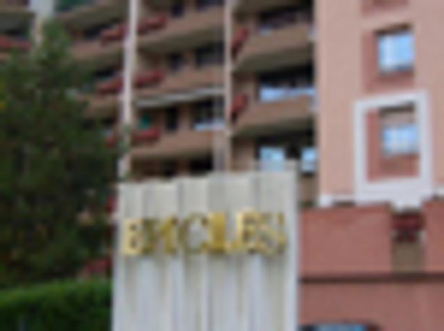 Annemasse Location Parking / Garage 74