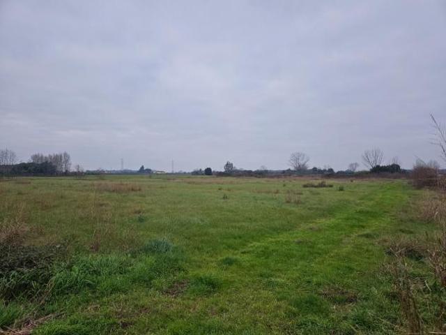 Annesso agricolo in vendita a Visignano Cascina 7800 mq Rif: 1237564