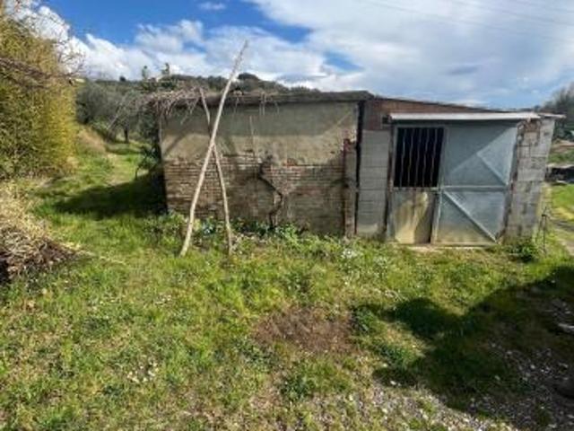 Annesso agricolo in vendita a Capannoli 6500 mq Rif: 1326738