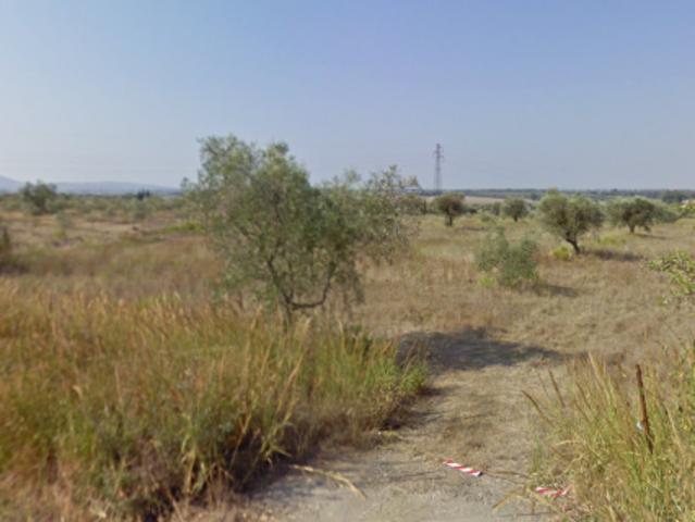 Annesso agricolo in vendita a Grosseto 80000 mq Rif: 1397047