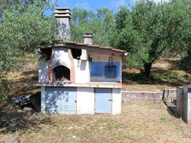 Annesso agricolo in vendita a Rosignano Marittimo 9000 mq Rif: 1418510
