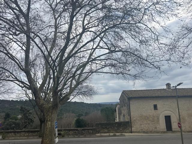 Annonce appartement à louer