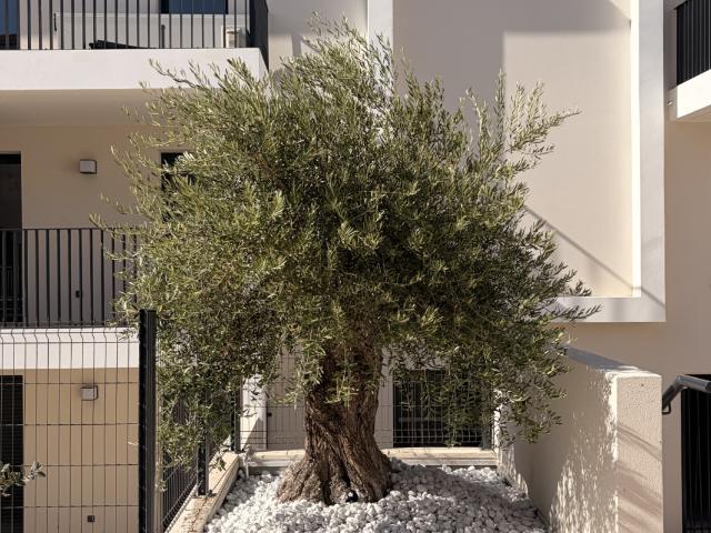 Annonce appartement à louer