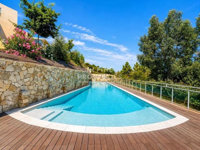 Annonce appartement à louer
