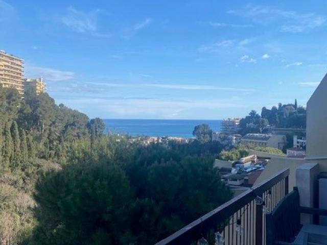 Annonce appartement à louer