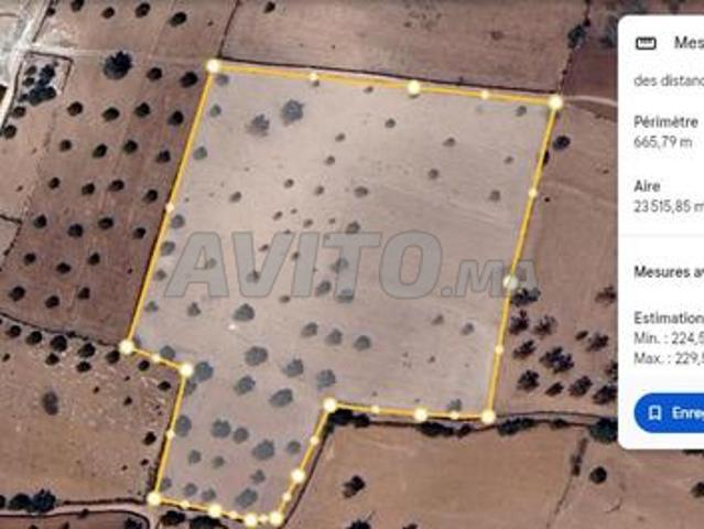 Annonce de vente – Terrain agricole