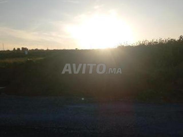 Annonce pour villa