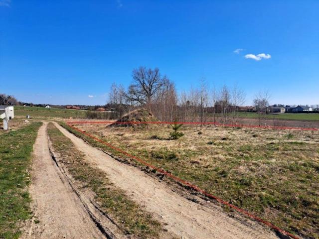 Łanowa 3 004 m², Skrzeszewo