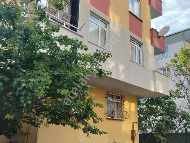 Ana Caddede Yüksek Giriş 2+1