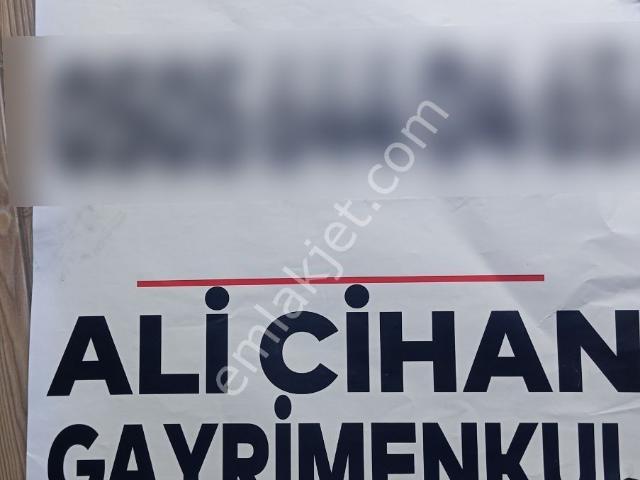 Ana Yola Bakan Çephede