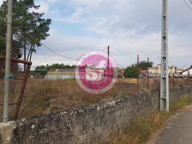 Anadia Anadia LS87065661