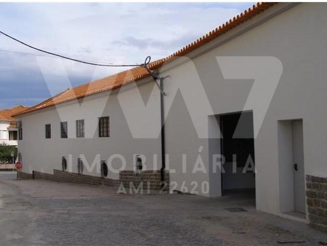 Anadia Anadia LS97121895
