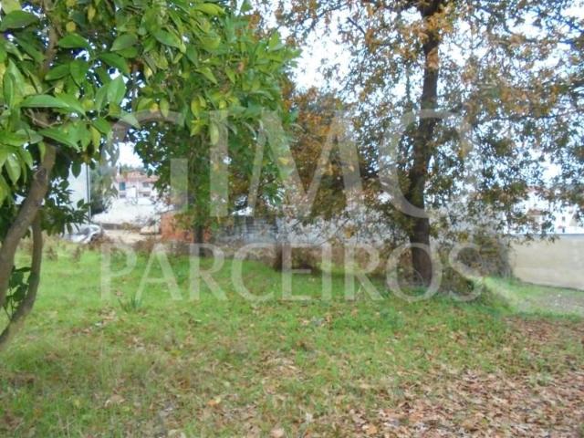 Anadia Anadia 100964941