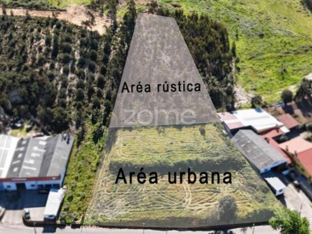 Anadia Anadia 101065113