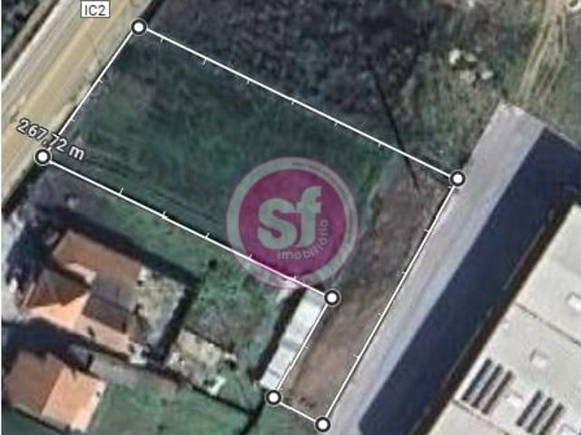 Anadia Anadia 101411335