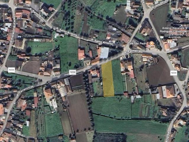 Anadia Anadia 103124245