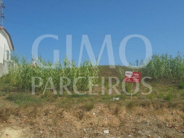 Anadia Anadia 103334313
