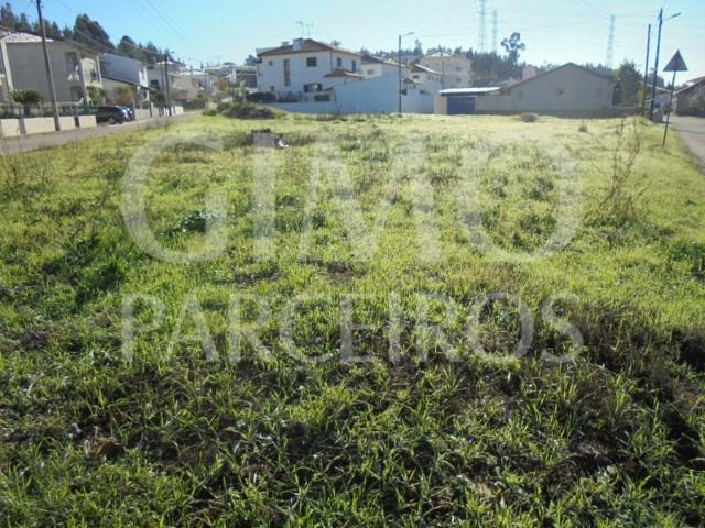 Anadia Anadia 103749220