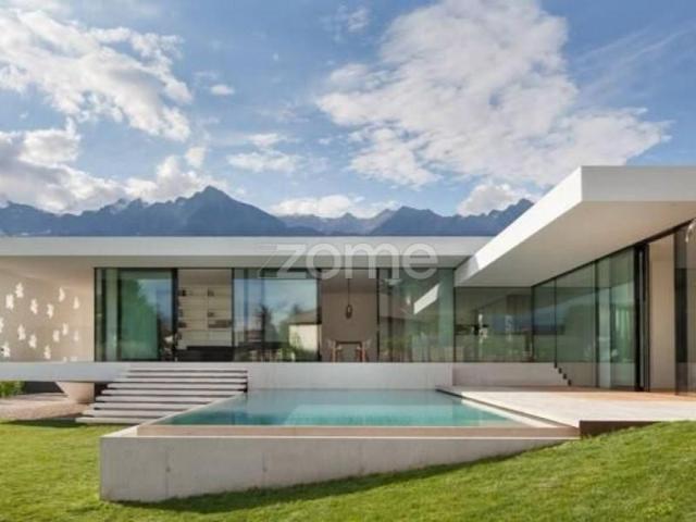 Anadia Anadia 104045898