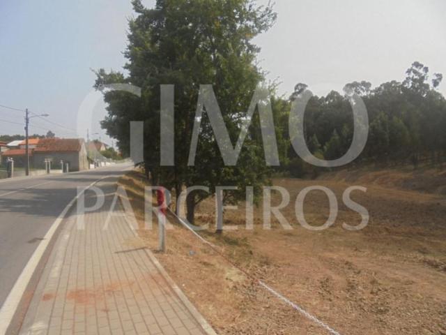 Anadia Anadia 104242157