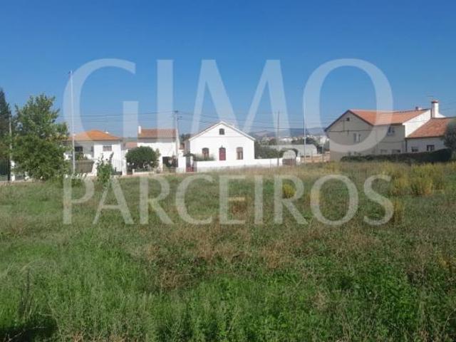 Anadia Anadia 87078175