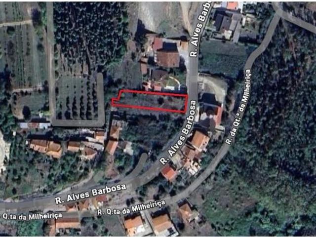 Anadia Anadia 99163127