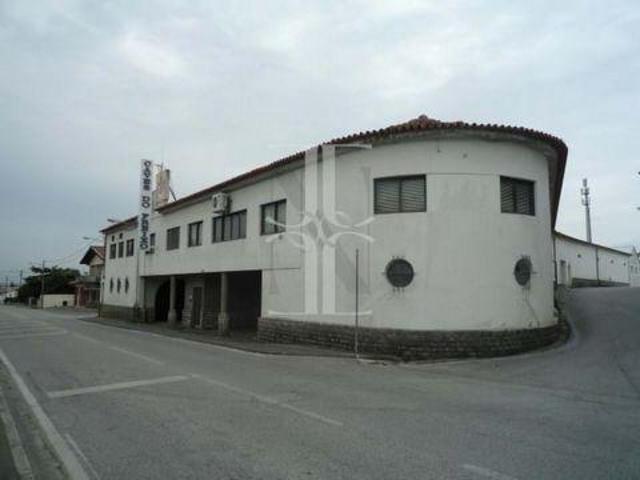 Anadia Aveiro 100823893