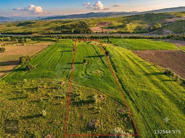 ANADOLU OTOYOLU KENARI TEK TAPU 6.776 m2 TARLA TAKASLI