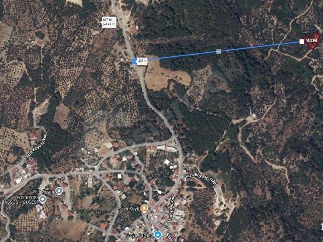 ÇANAKKALE AYVACIK SATILIK ZEYTİNLİK