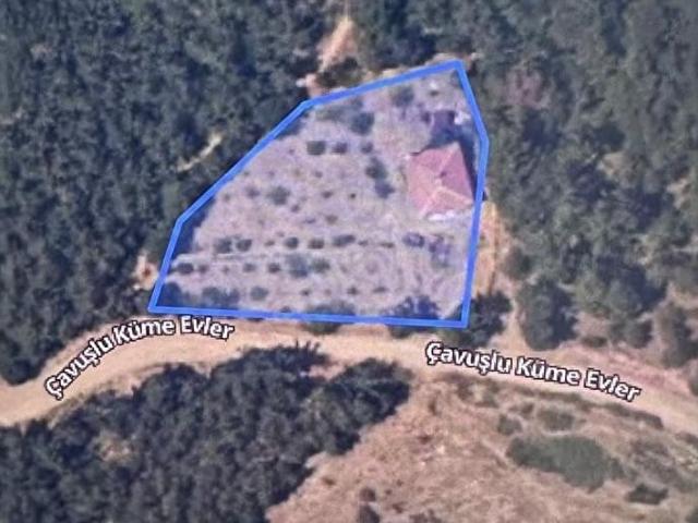 ÇANAKKALE BAYRAMİÇ ÇAVUŞLU KÖYÜ SATILIK BAĞ