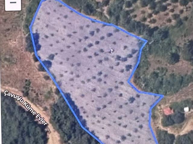 ÇANAKKALE BAYRAMİÇ ÇAVUŞLU KÖYÜ SATILIK TARLA
