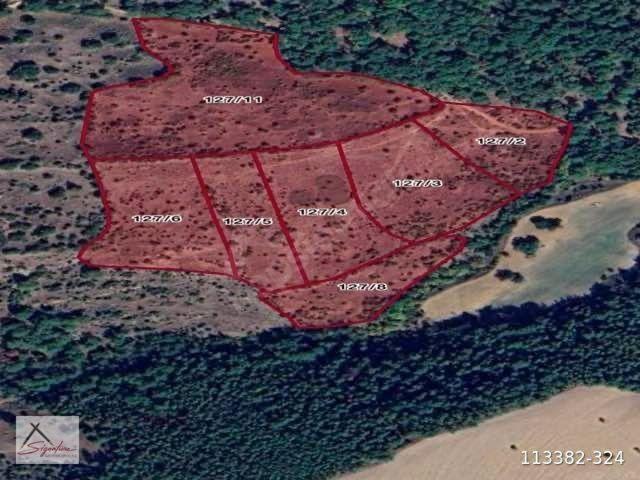 ÇANAKKALE BAYRAMİÇ KUŞÇAYIRI ORMANA CEPHELİ SATILIK TARLA