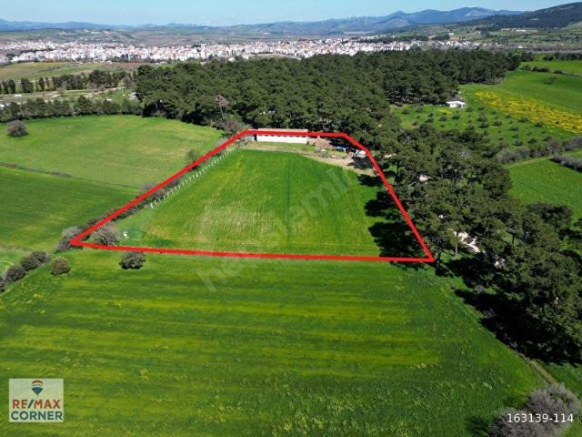 ÇANAKKALE BAYRAMİÇ KUTLUOBA SATILIK TARLA