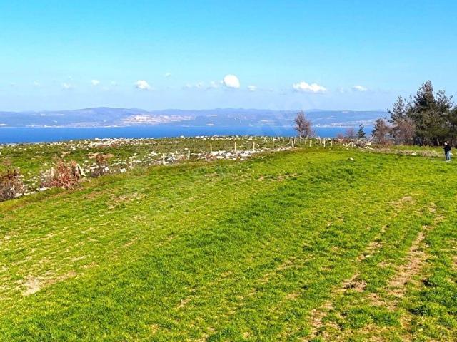 Çanakkale Kızılkeçilide Full Boğaz ve Köprü Manzaralı Tarla