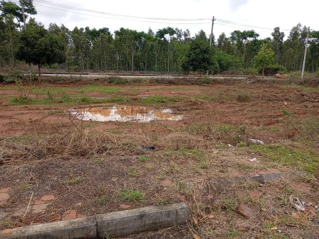 Ananda Nilya Layout 1200 Sq. Ft. Plot in Lingapura Bangalore Listing ID: #10320