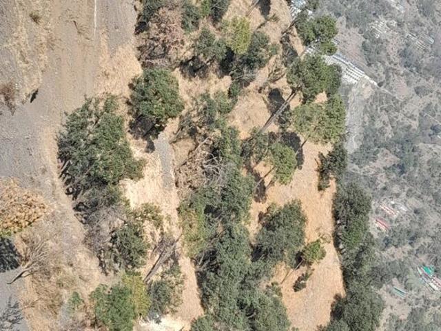 Anandpur, Shimla City Commercial Land 2 Acre in Anandpur Shimla Listing ID: #10150