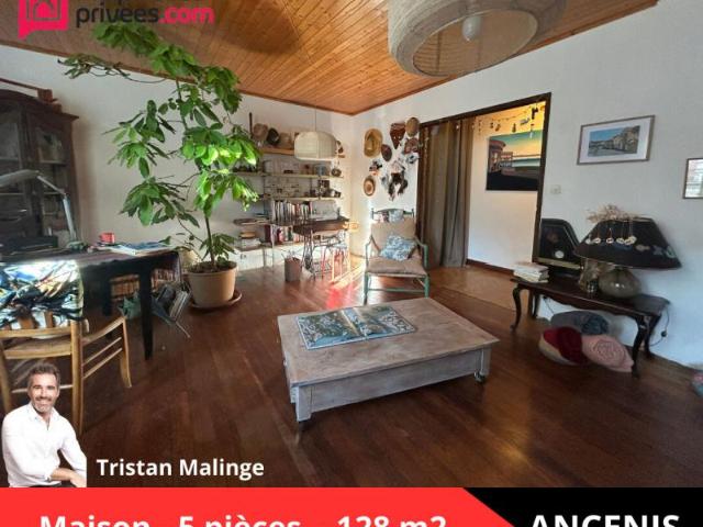 Ancenis Vente Maison 44