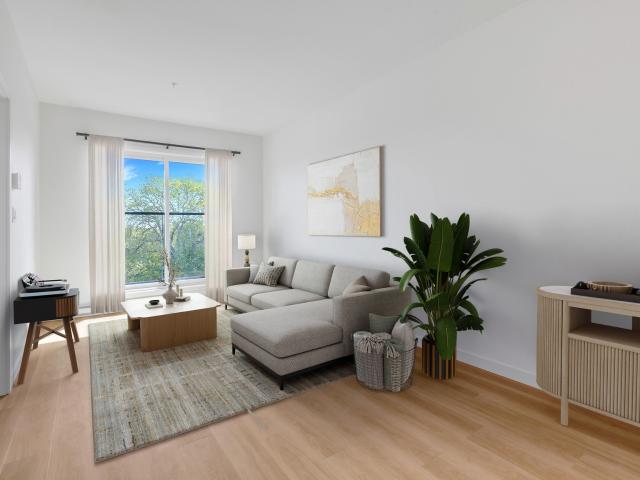 Anchor 829 Old Esquimalt Rd 2 Bedroom Apartment for Rent