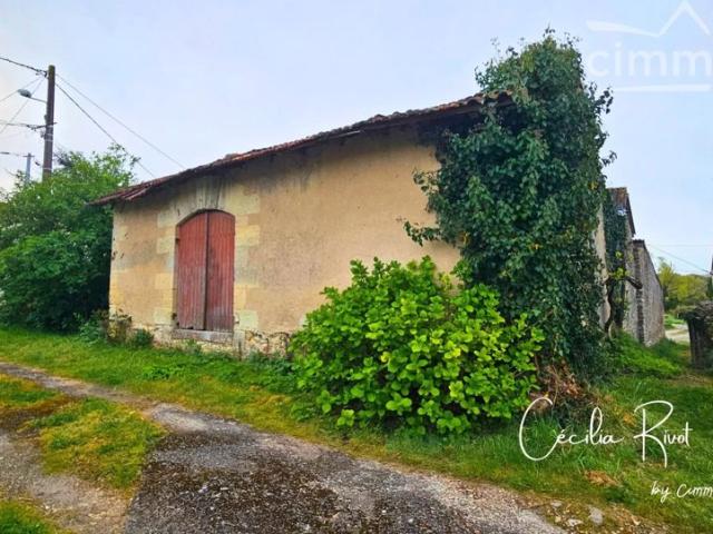 Ancien chai
