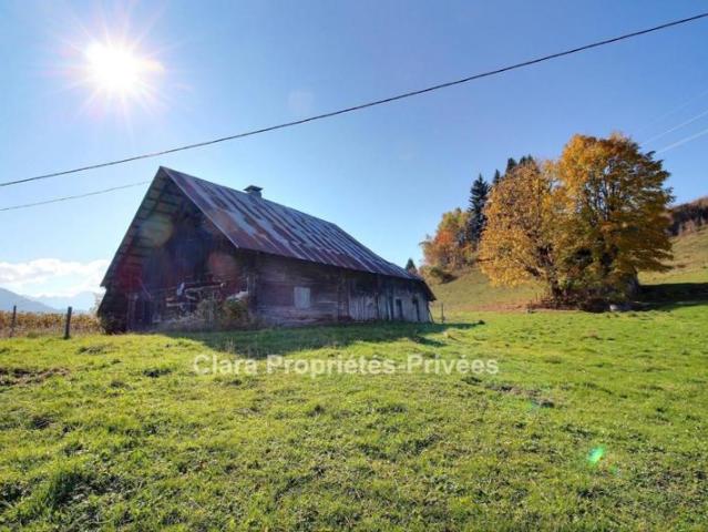 Ancien chalet à rénover au coeur de la nature