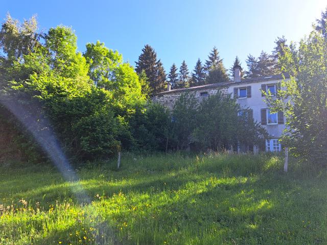 Ancienne ferme/pension de famille en pierre sur plus d'1 hectare de terrain
